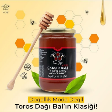 Toros Dağı Süzme Çakşır Balı 860 gr